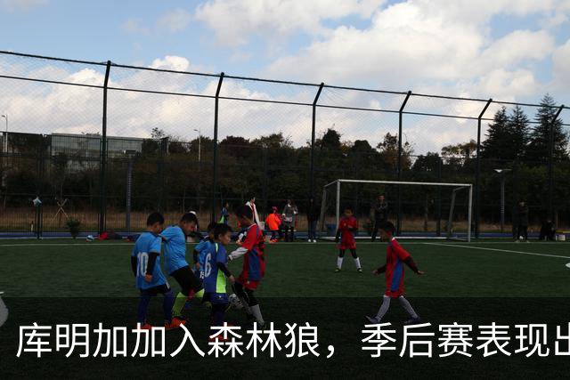 库明加加入森林狼，季后赛表现出色成球队关键