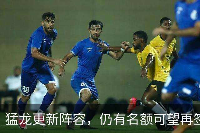猛龙更新阵容，仍有名额可望再签球员